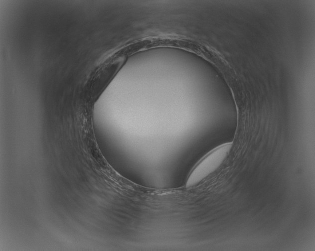 X0000053001303200507080944