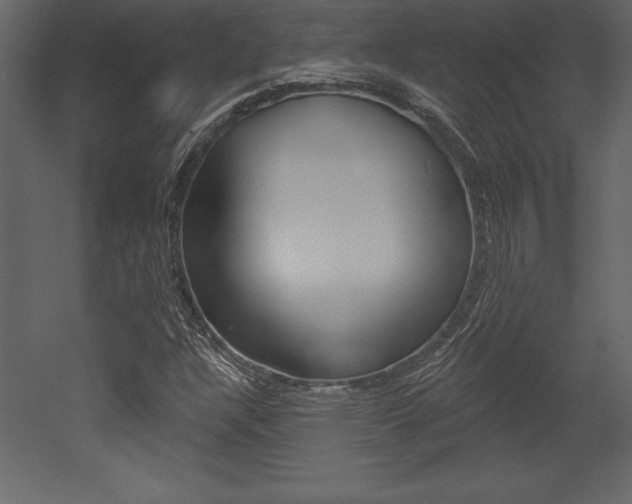X0000053001304200507080944