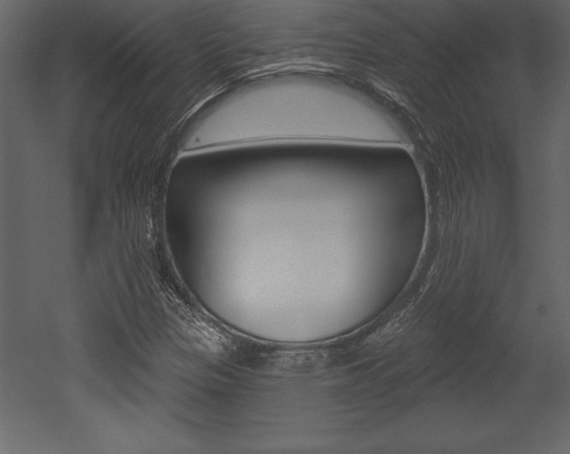 X0000053001305200507080945