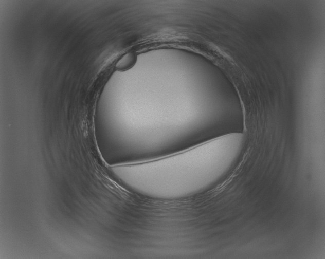 X0000053001306200507080945