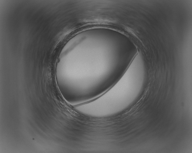 X0000053001307200507080945