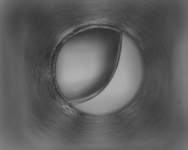 X0000053001308200507080945