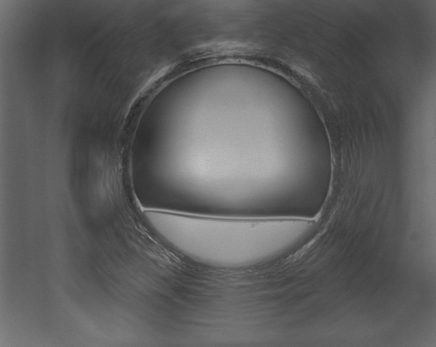 X0000053001309200507080945