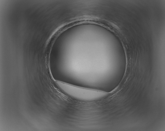 X0000053001310200507080945