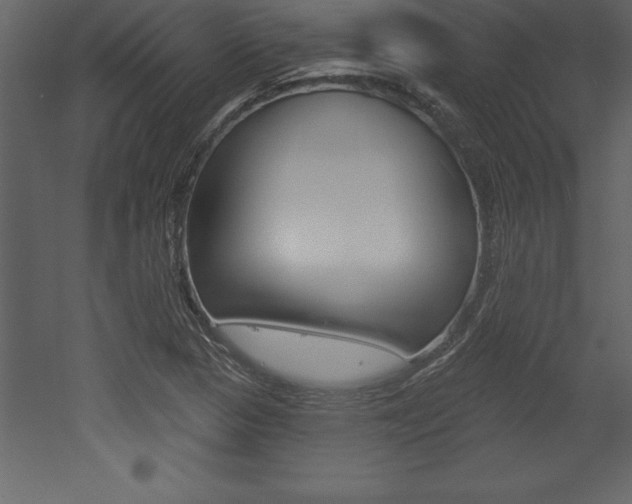 X0000053001313200507080945