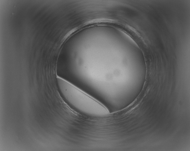 X0000053001321200507080945