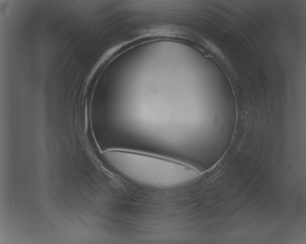 X0000053001323200507080945