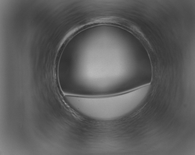 X0000053001328200507080945