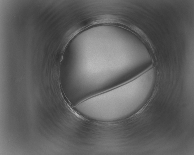 X0000053001337200507080945
