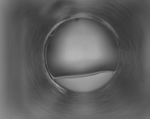 X0000053001339200507080945