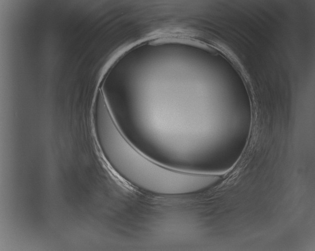 X0000053001344200507080945