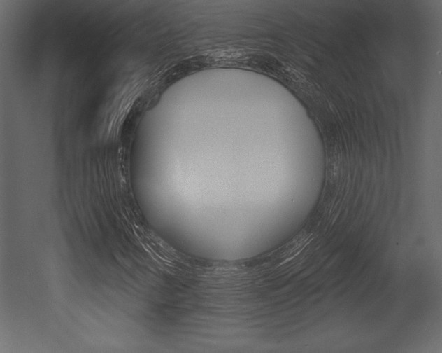 X0000053001346200507080944