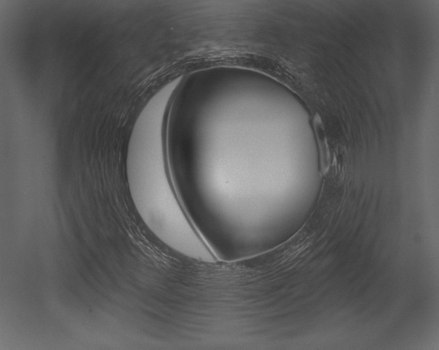 X0000053001348200507080944