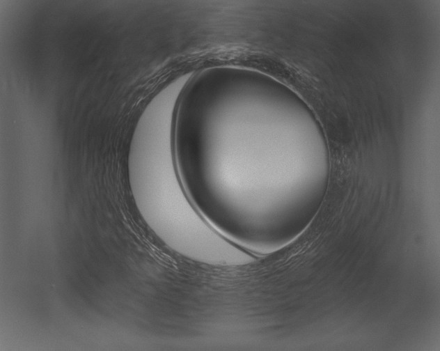 X0000053001349200507080944