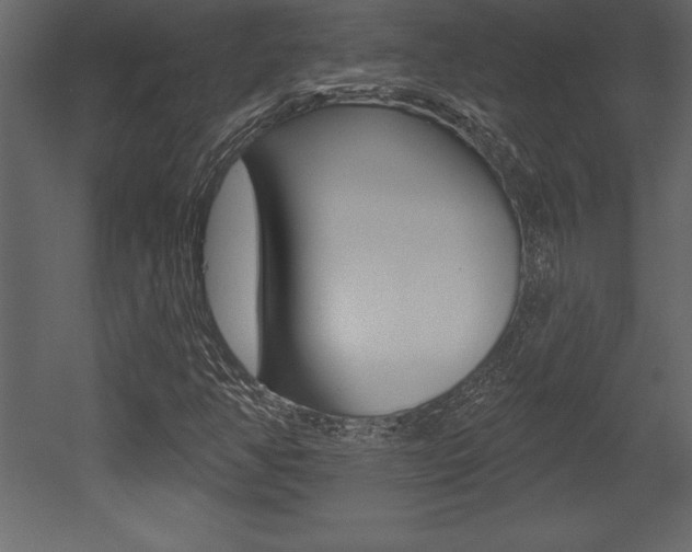 X0000053001350200507080944
