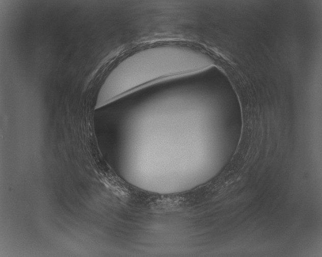 X0000053001351200507080944
