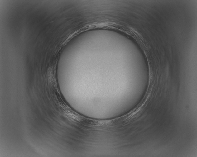X0000053001353200507080944