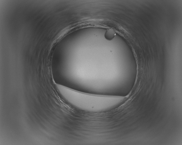 X0000053001354200507080944