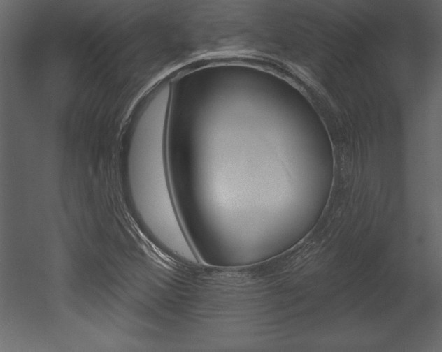 X0000053001356200507080944