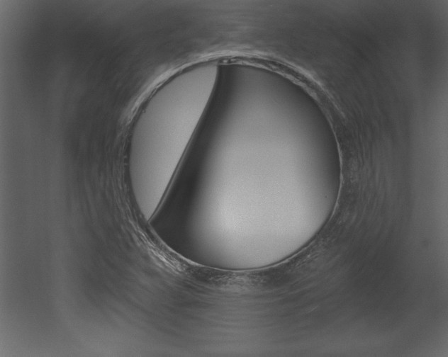 X0000053001359200507080944
