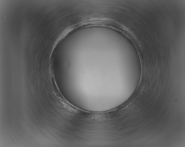 X0000053001362200507080944