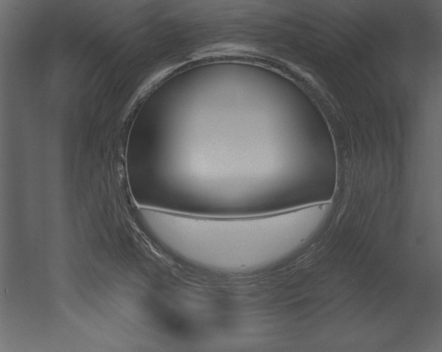 X0000053001363200507080944