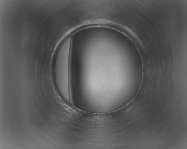X0000053001364200507080944