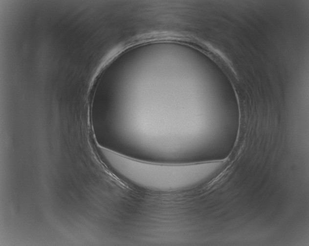 X0000053001365200507080944