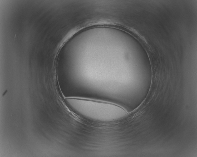X0000053001367200507080944