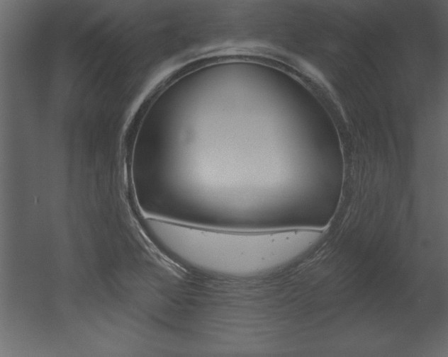 X0000053001368200507080944