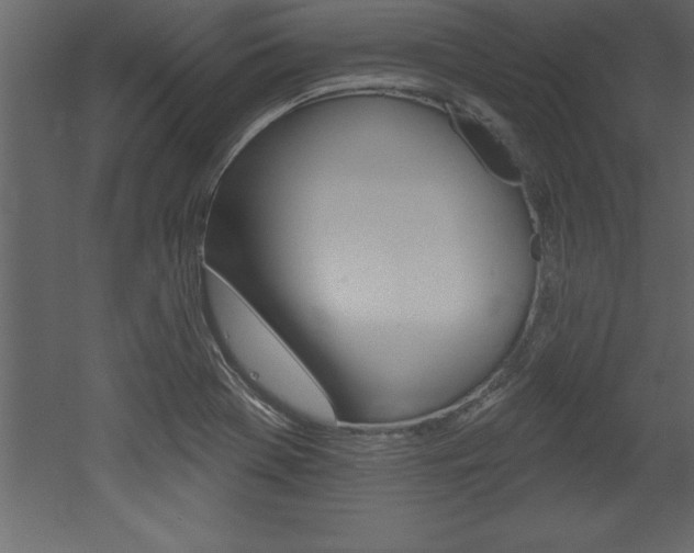 X0000053001369200507080944