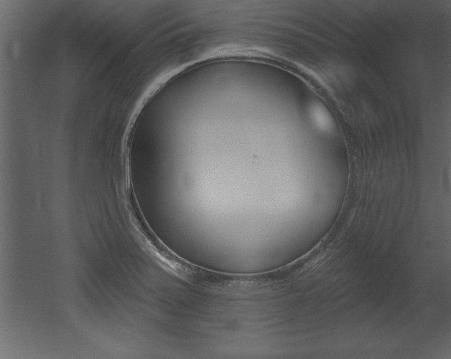 X0000053001371200507080944
