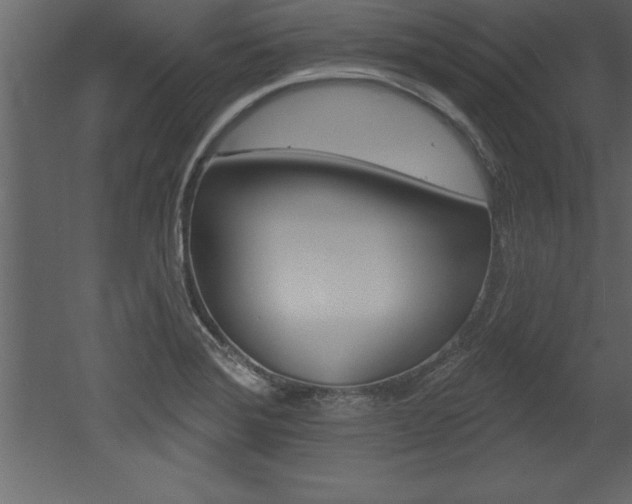 X0000053001372200507080944