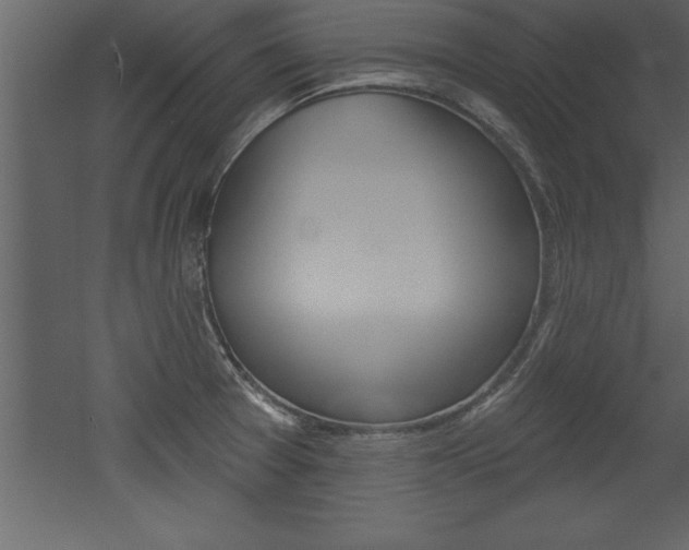 X0000053001377200507080944