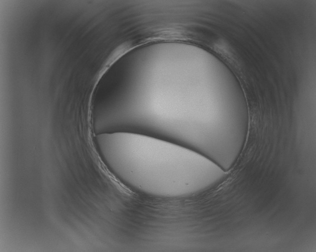 X0000053001378200507080944