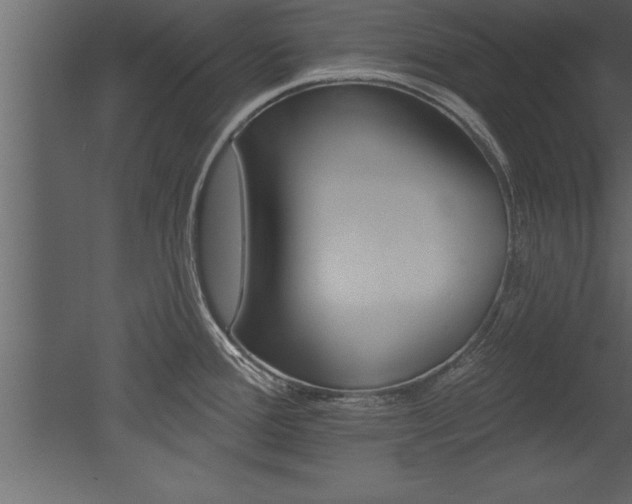 X0000053001388200507080944