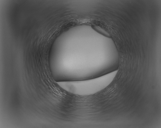 X0000053001393200507080943