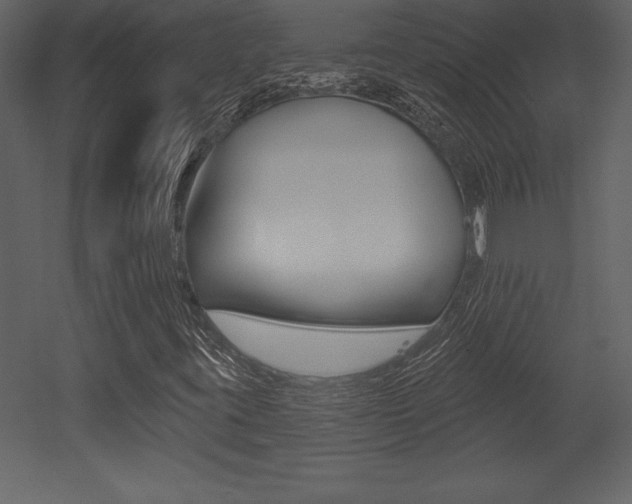 X0000053001395200507080943