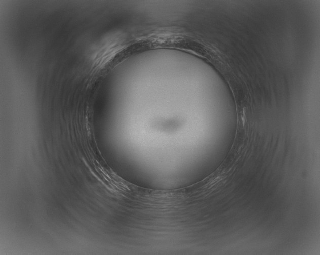 X0000053001396200507080943