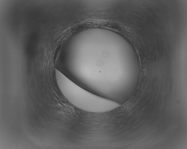 X0000053001397200507080943