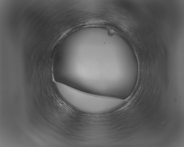 X0000053001401200507080943