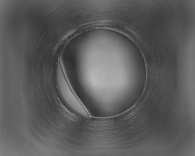 X0000053001402200507080943
