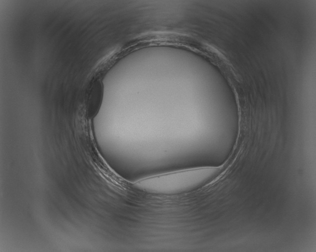 X0000053001403200507080943