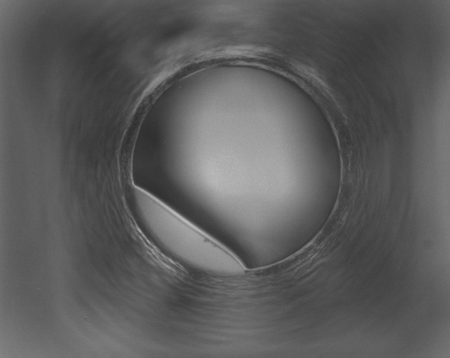 X0000053001404200507080943
