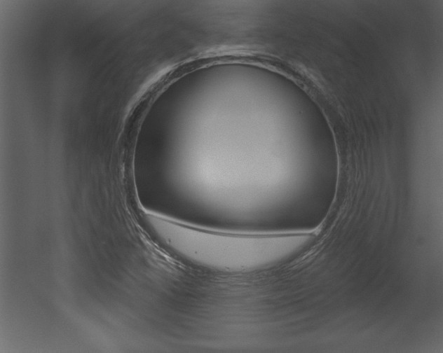 X0000053001406200507080943