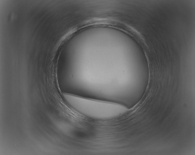 X0000053001411200507080943