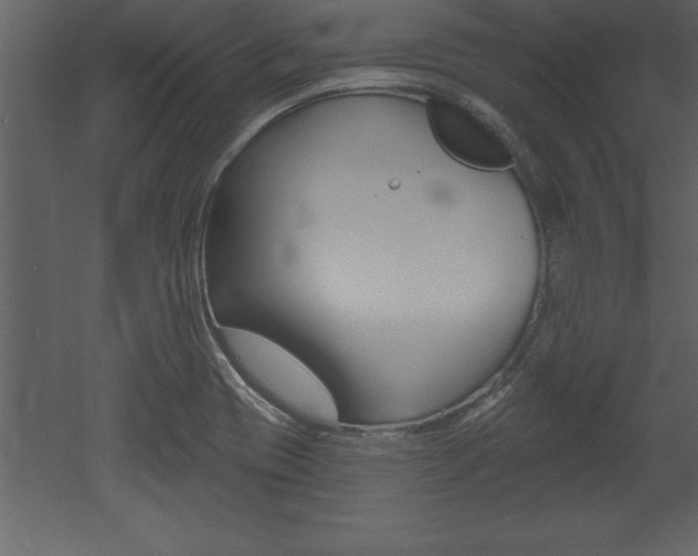 X0000053001417200507080943