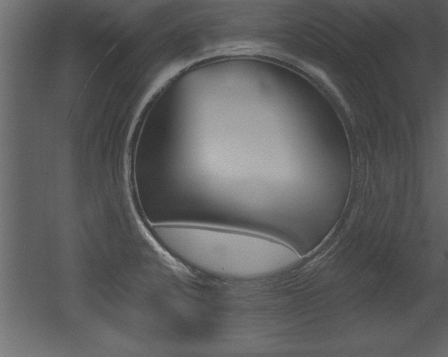 X0000053001424200507080943