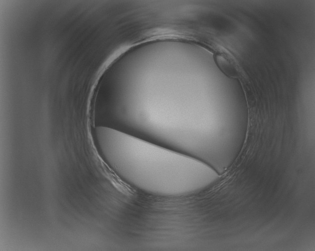 X0000053001427200507080943