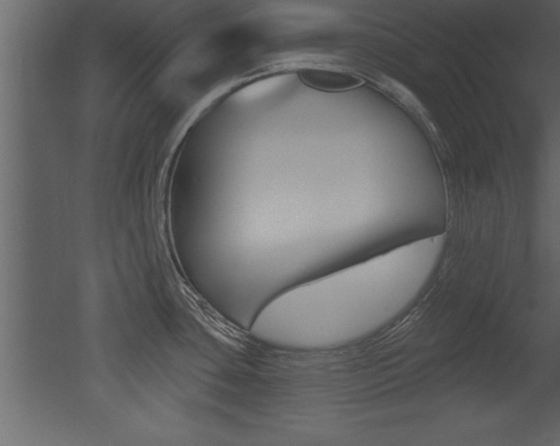 X0000053001435200507080943